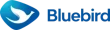 Bluebird Group